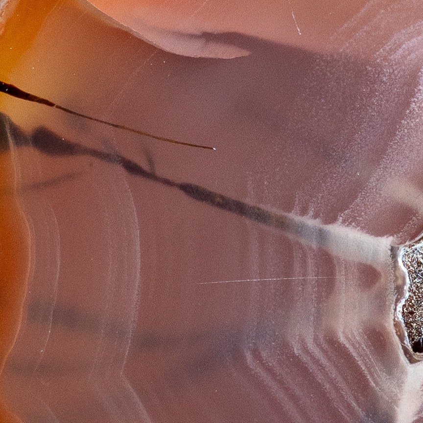 Cobweb - view 5