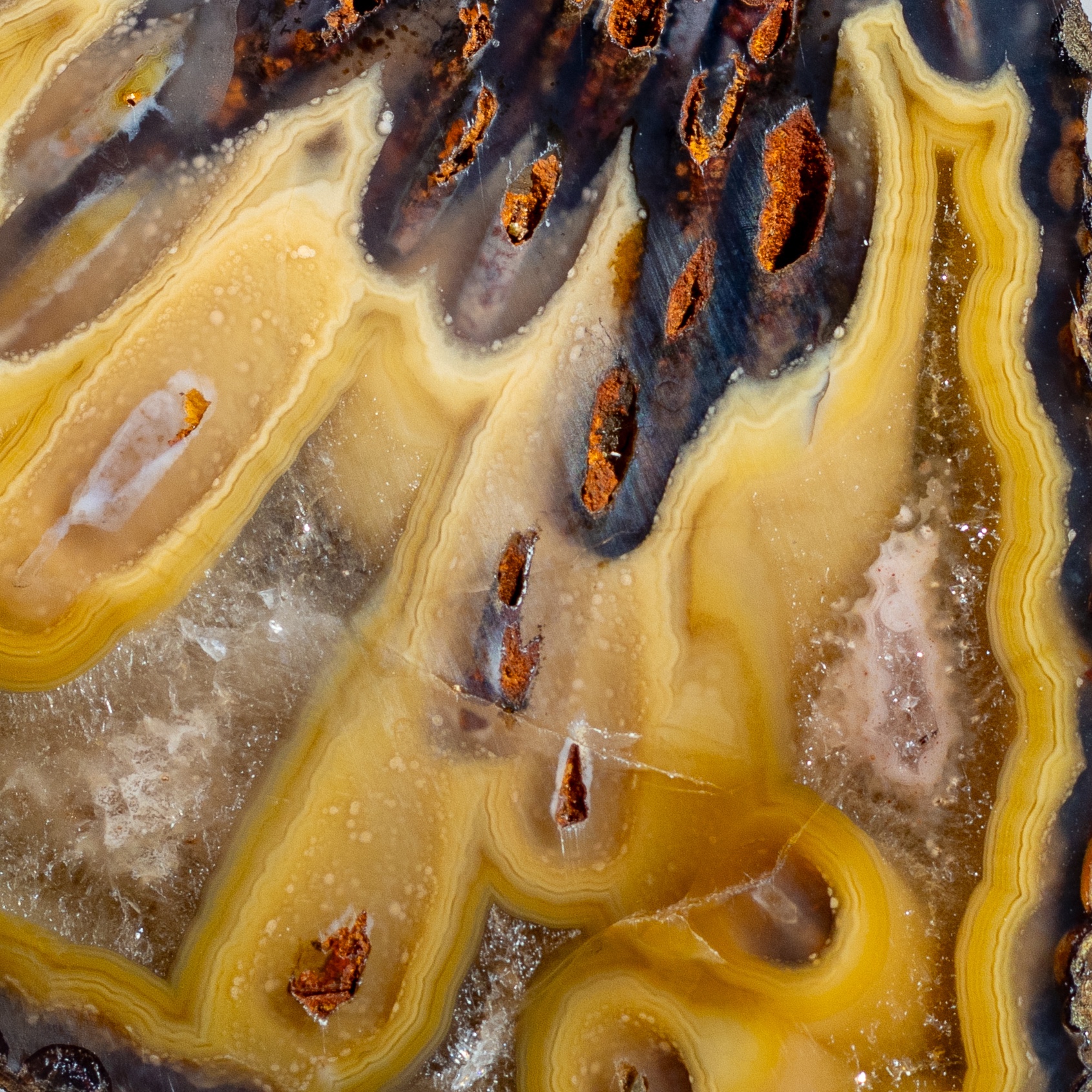 Goldleaf - view 4