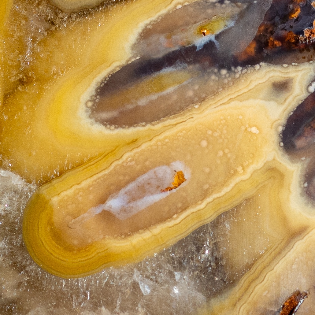 Goldleaf - view 5
