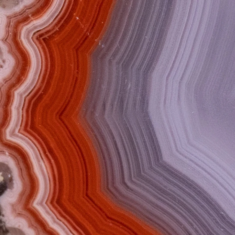 Red Zeny - view 3