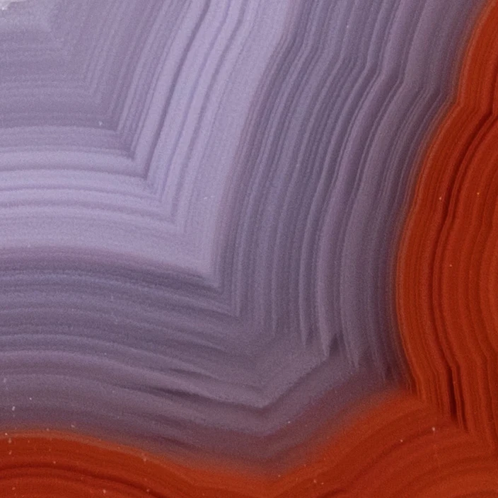 Red Zeny - view 4