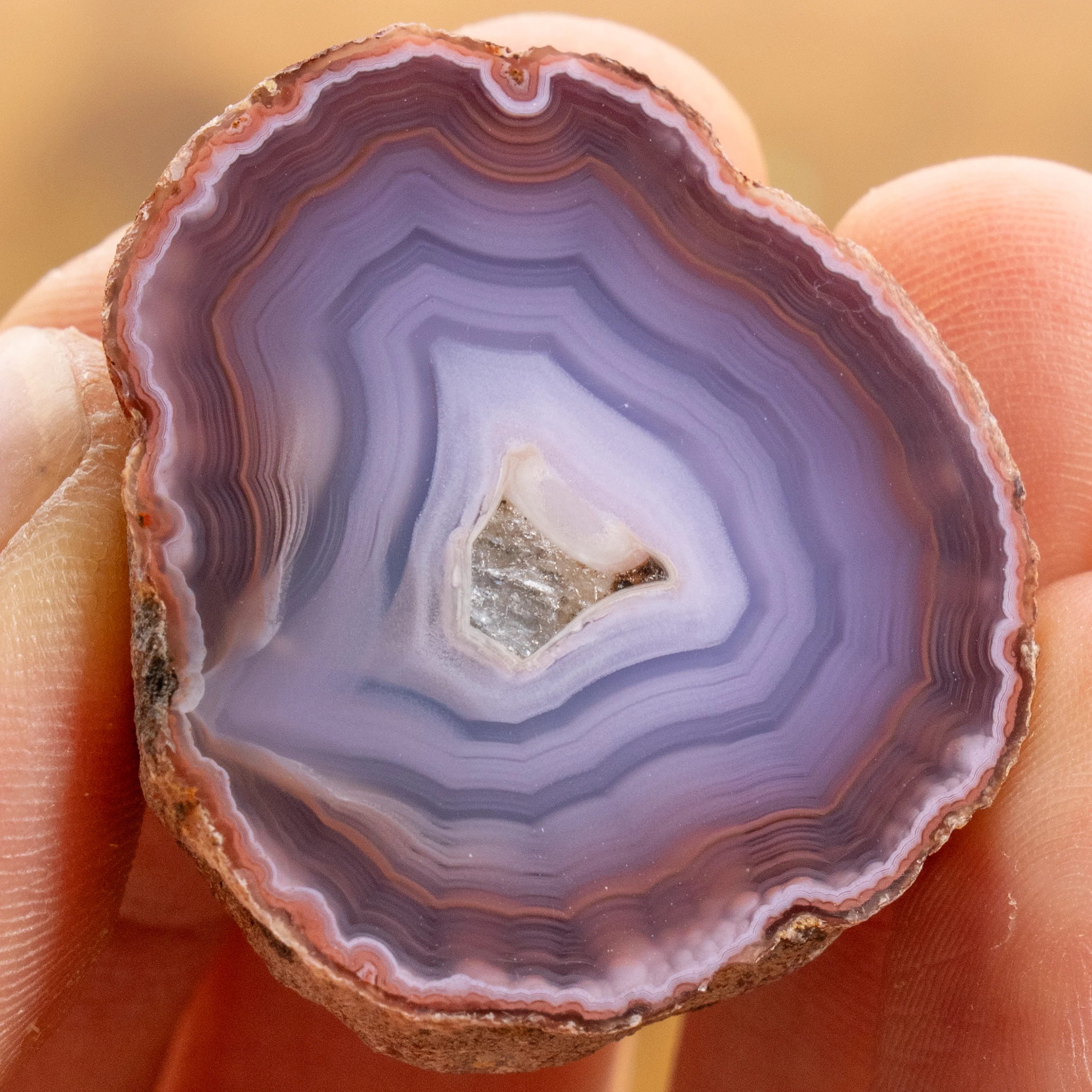 Purple Waves - view 2