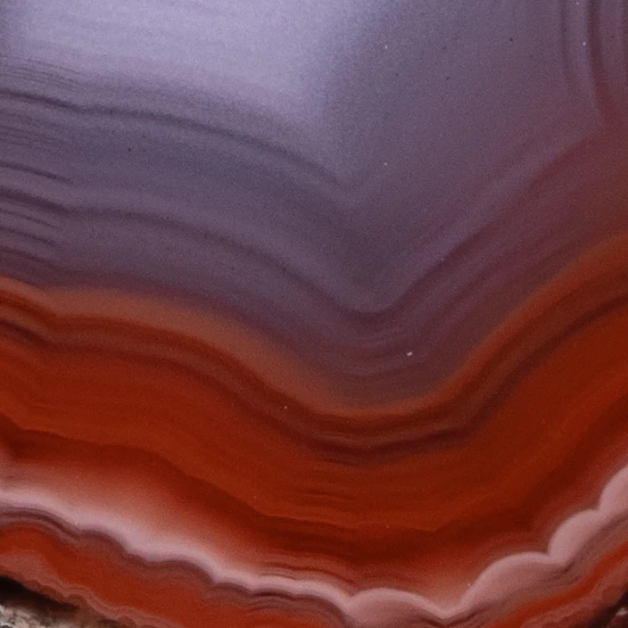 Violet Light - view 4