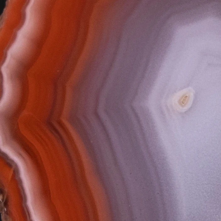 Violet Light - view 3