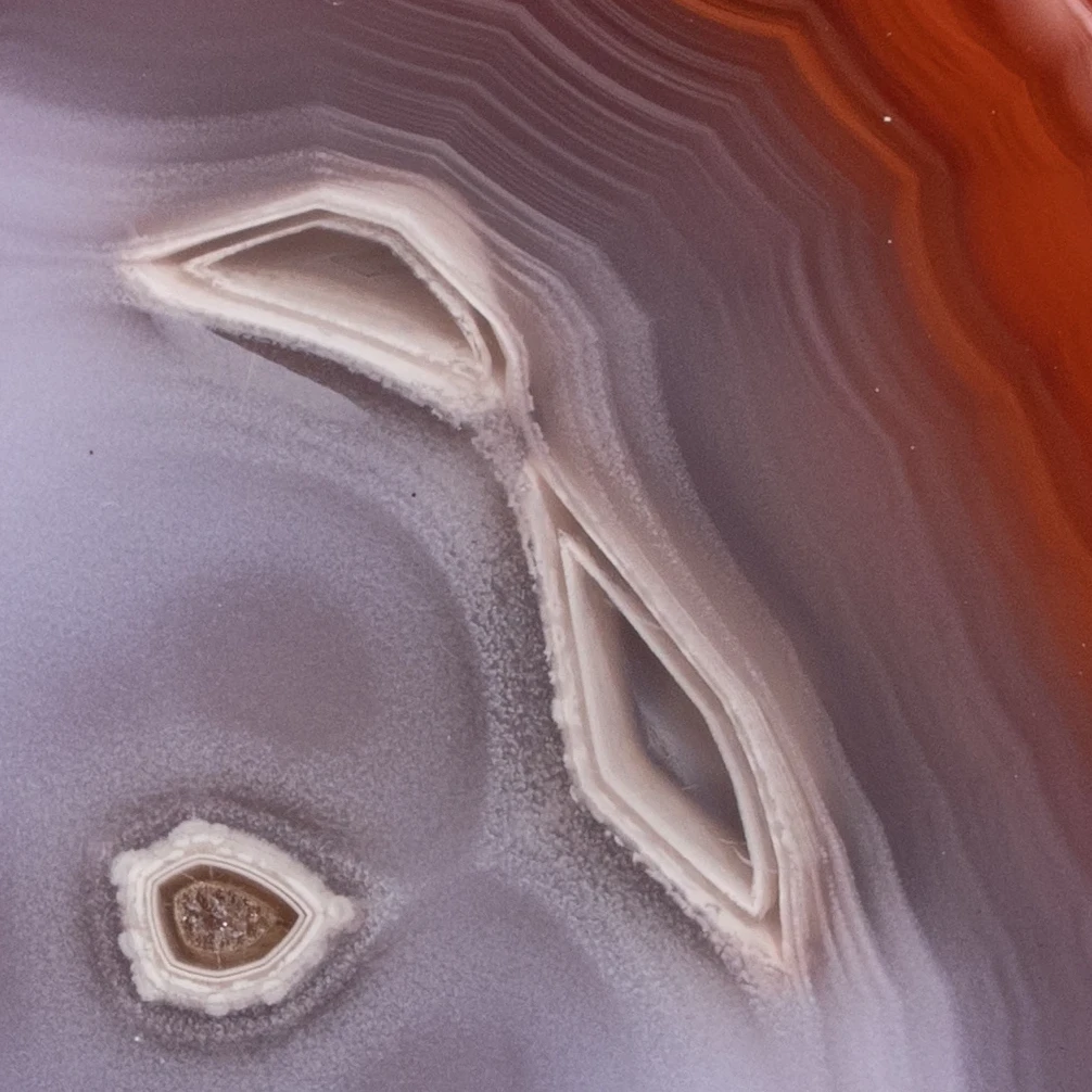 Violet Light - view 5