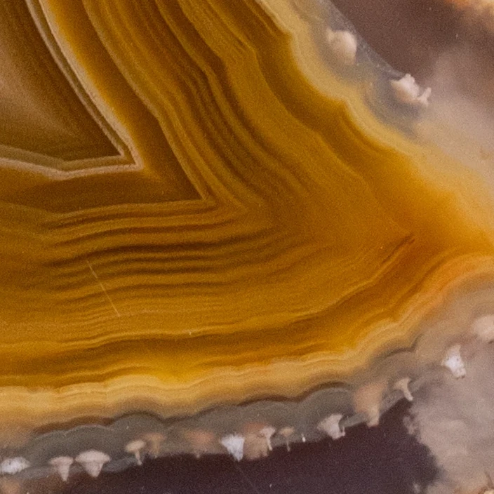 Yellow Nova - view 4