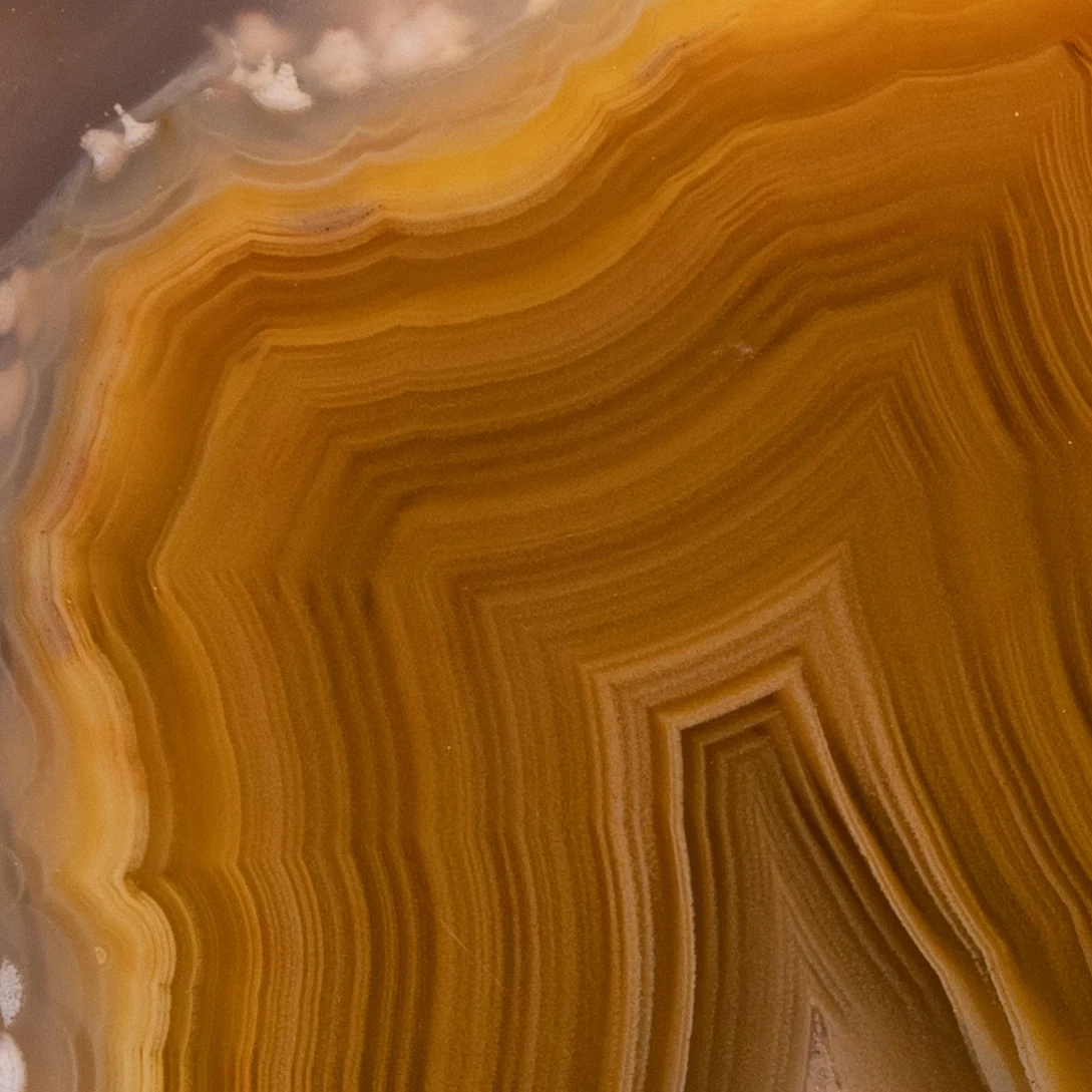 Yellow Nova - view 3