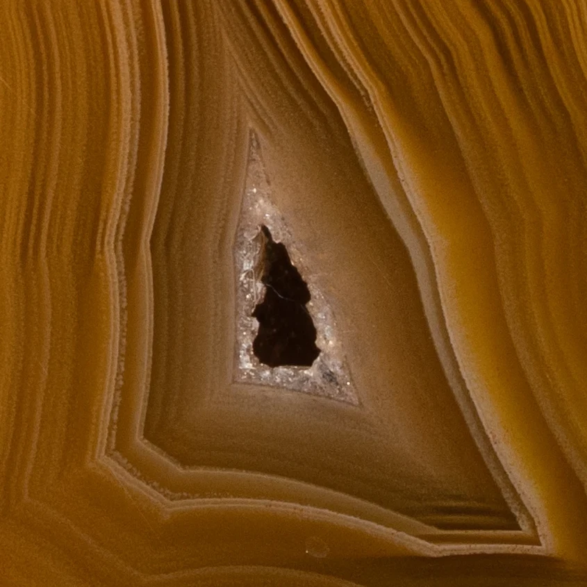 Yellow Nova - view 5