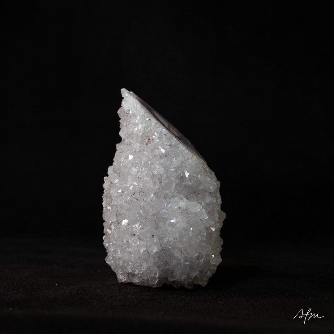 Frozen Vives - view 5