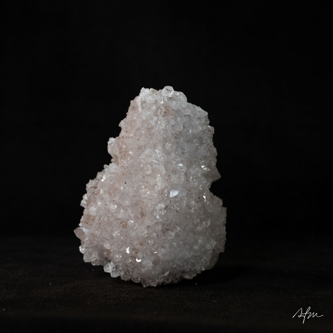 Frozen Vives - view 4