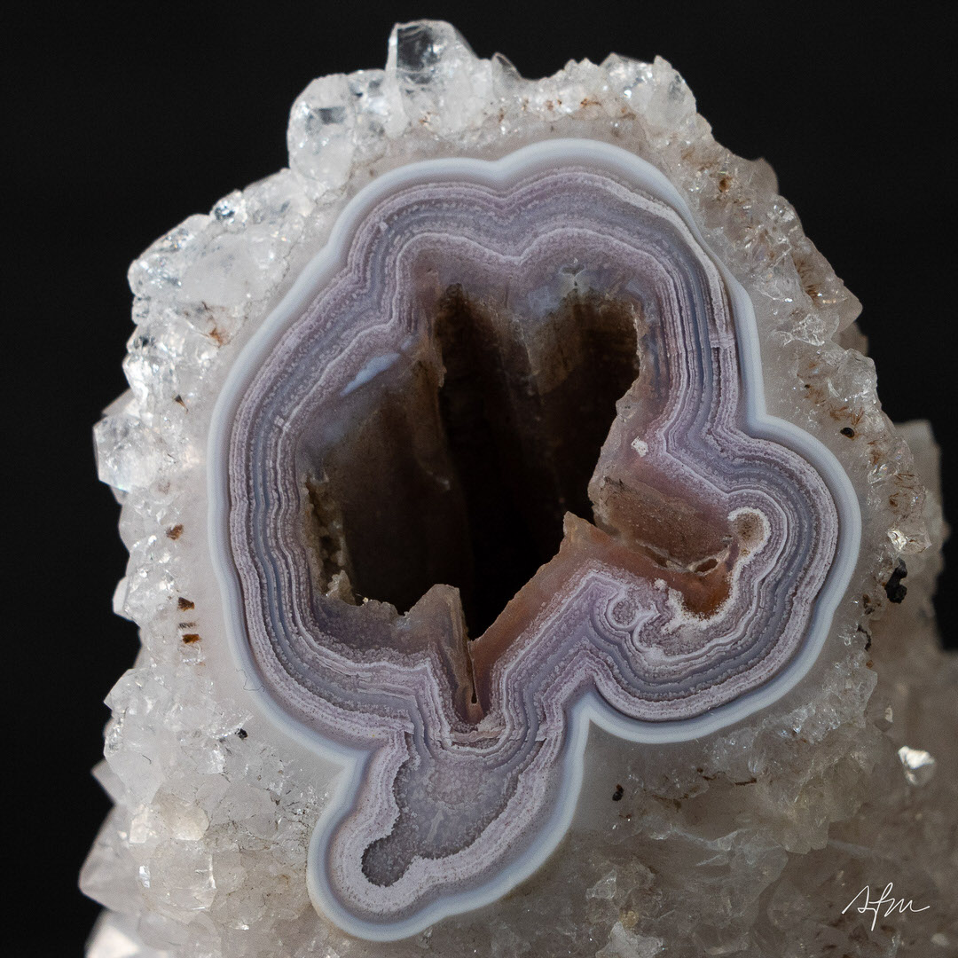 Frozen Vives - view 3