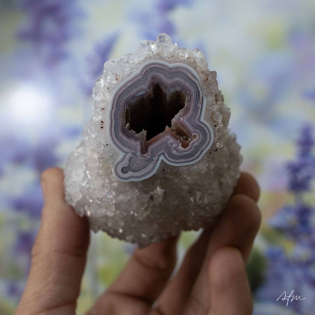 Frozen Vives - view 2