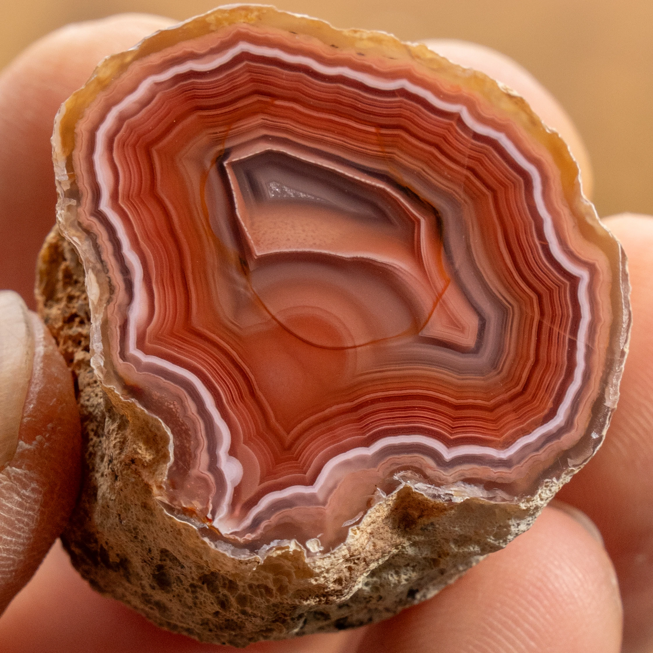 Magma Glow - view 2