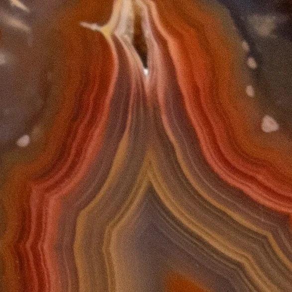 Flare Fusion - view 4