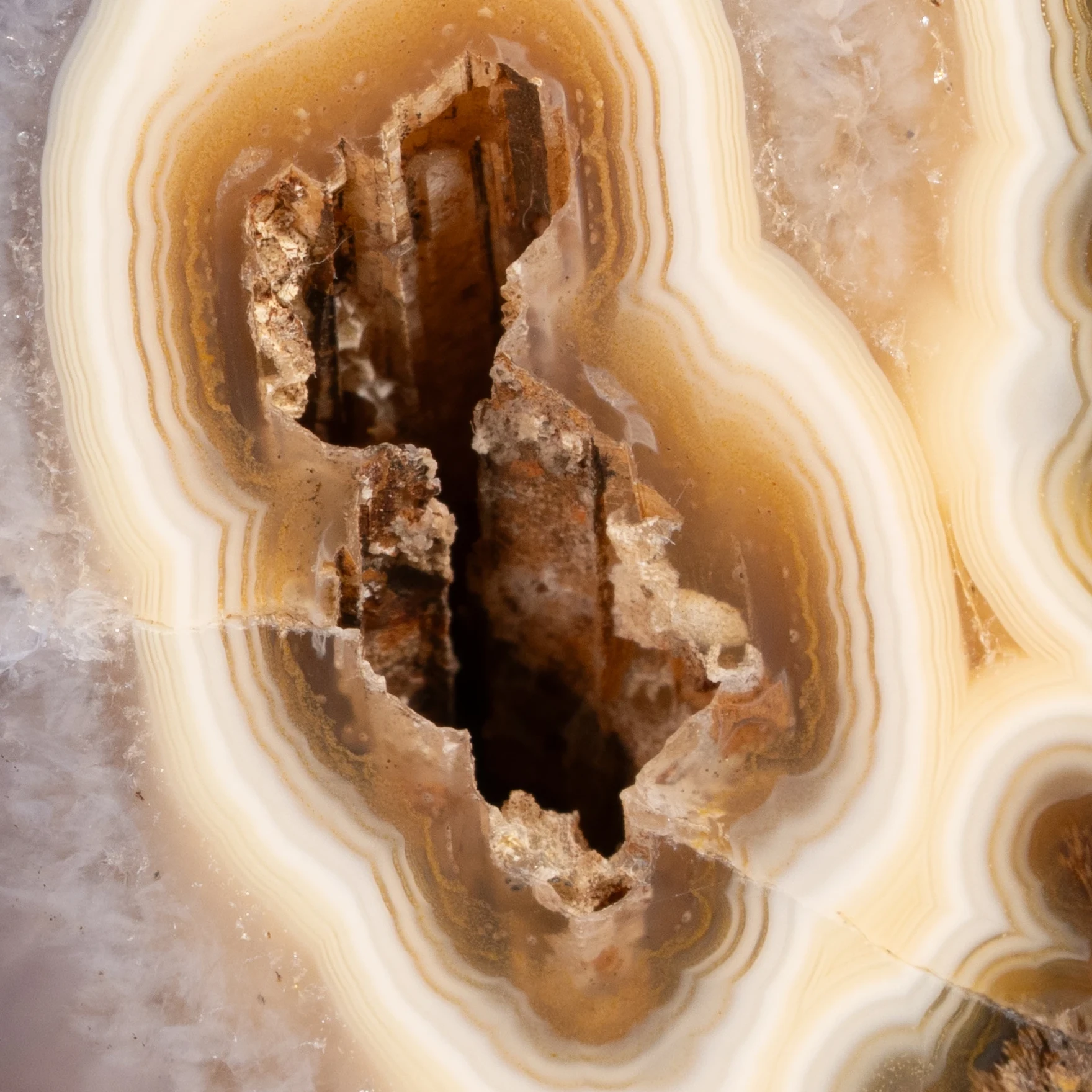 Arc Core - view 3