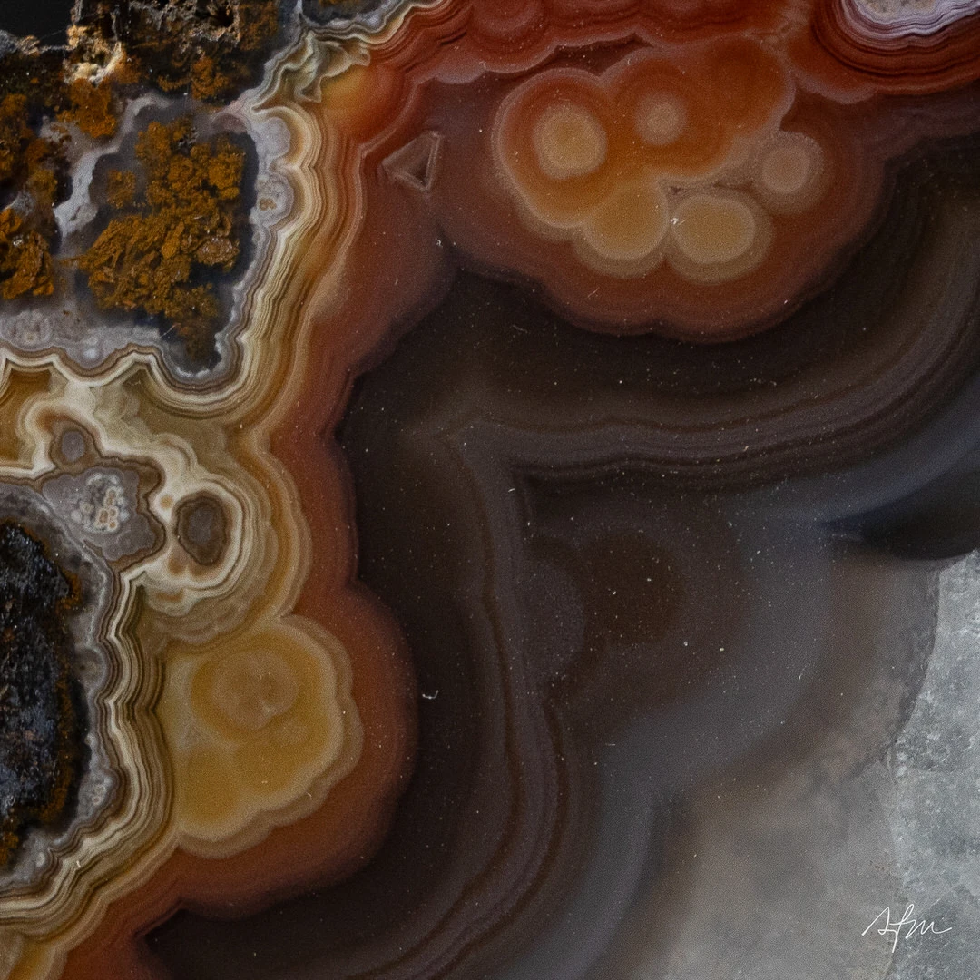 Space of Sienna - view 3