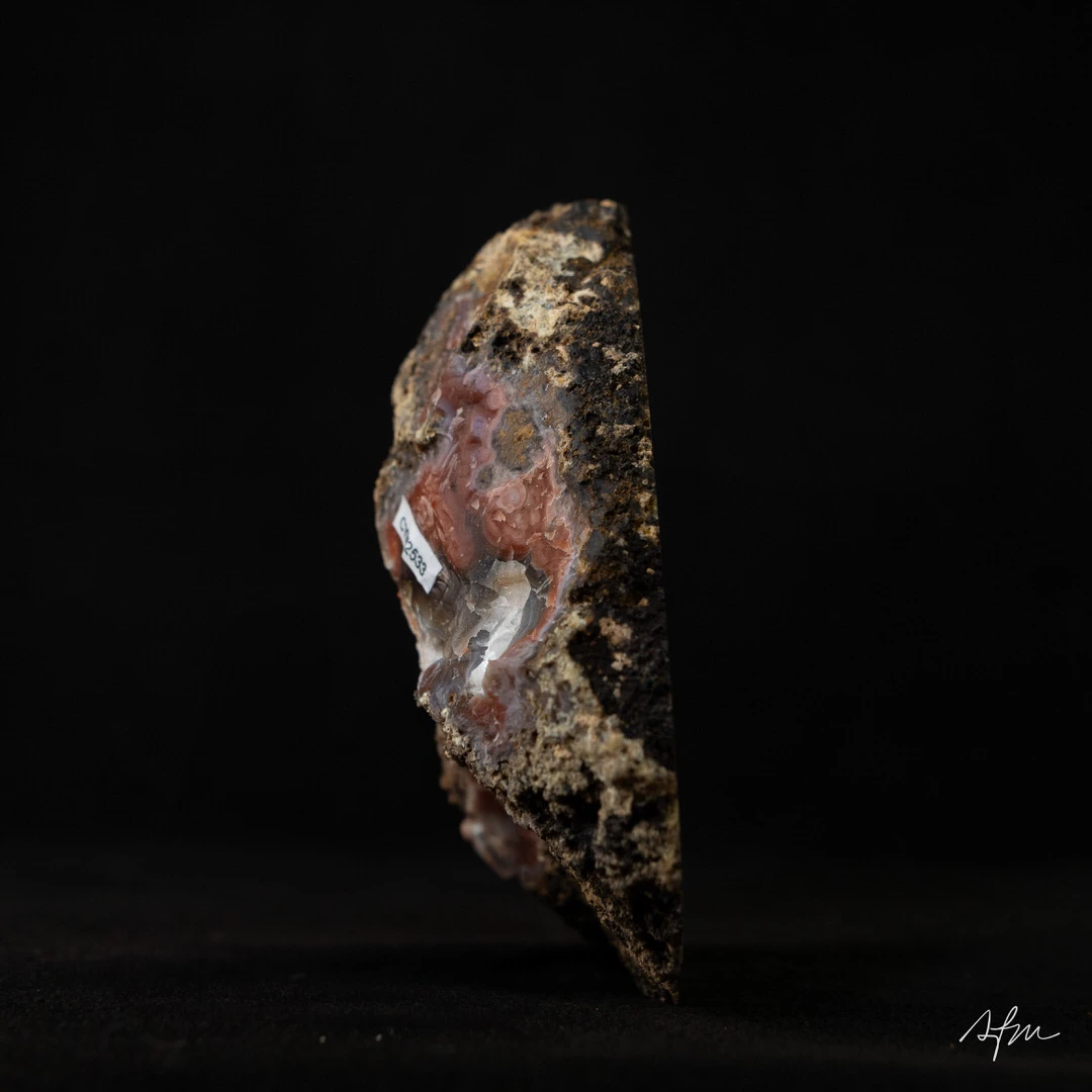 Space of Sienna - view 5