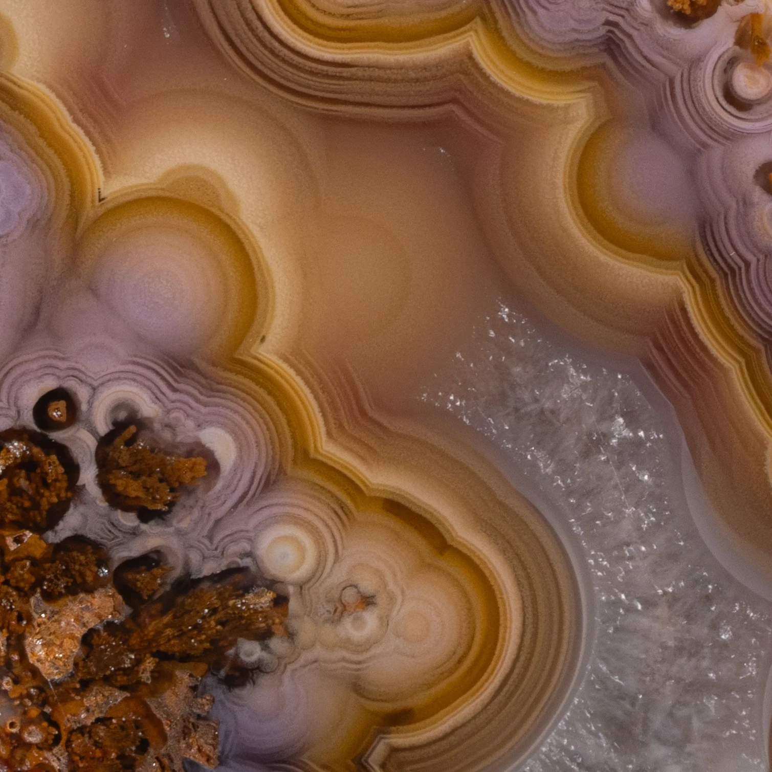 Marrow Cosmic - view 3