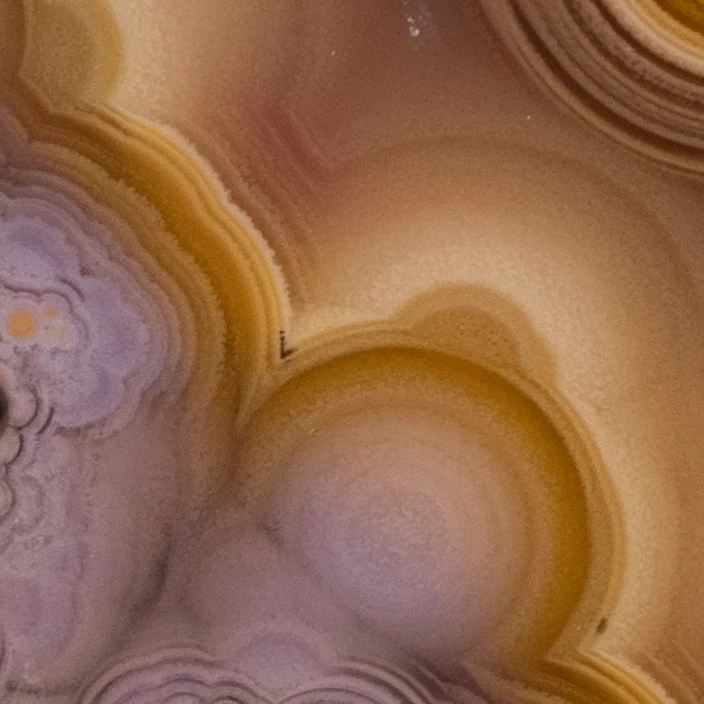 Marrow Cosmic - view 5