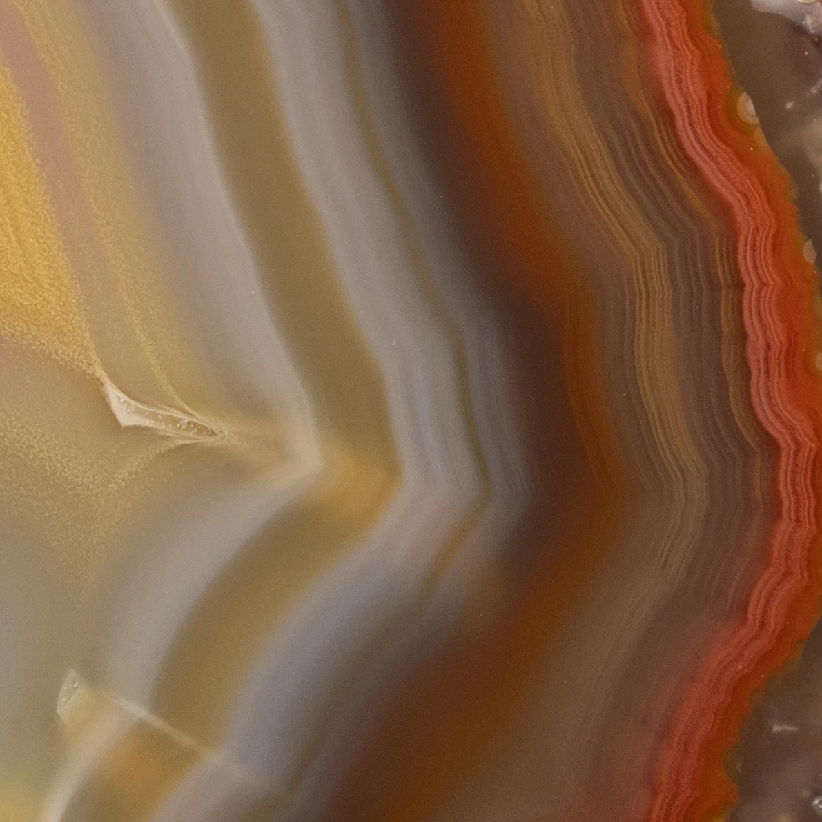Geo Pulse - view 3