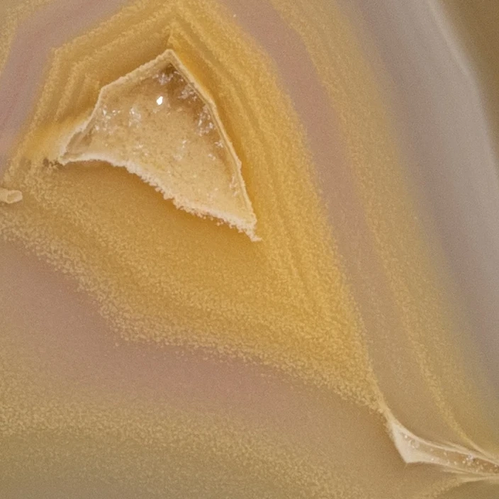 Geo Pulse - view 5