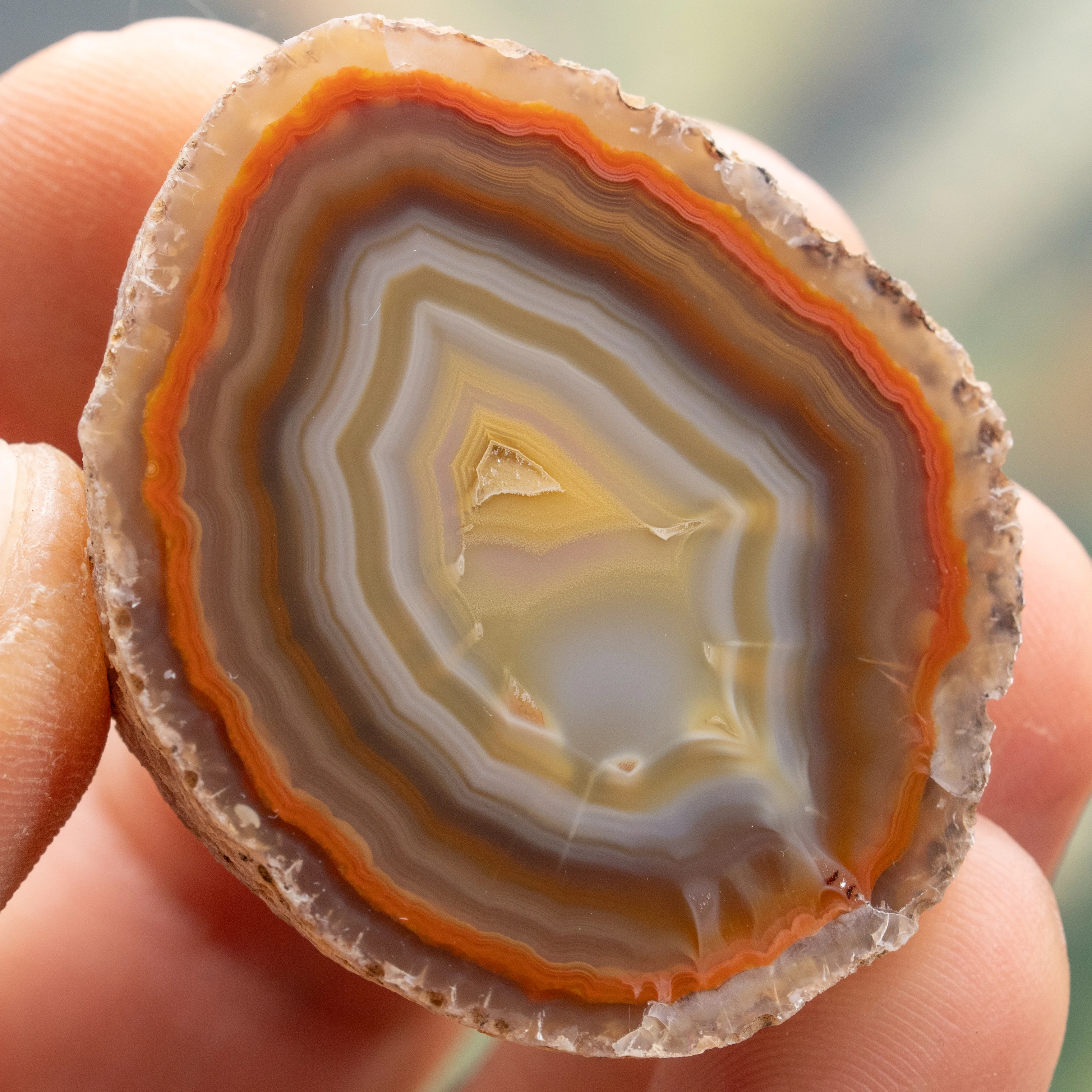 Geo Pulse - view 2
