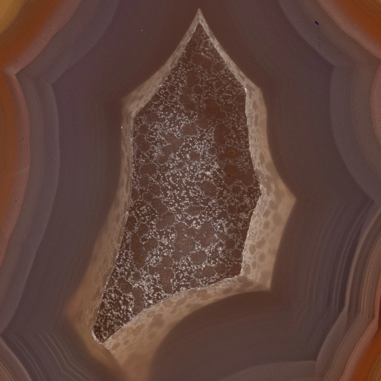 Pulse Marrow - view 5