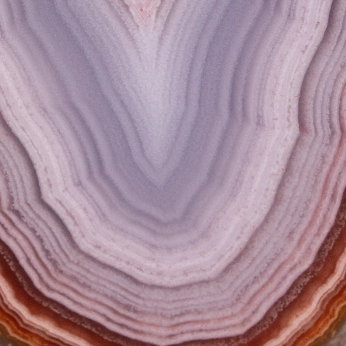 Quasar Wave - view 3