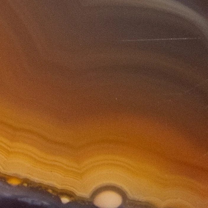 Field Pulse - view 4