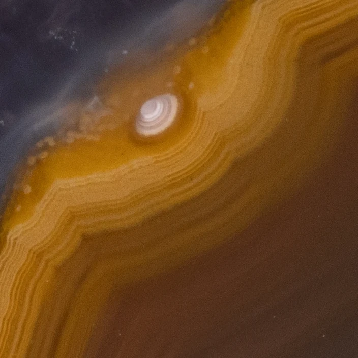 Field Pulse - view 3