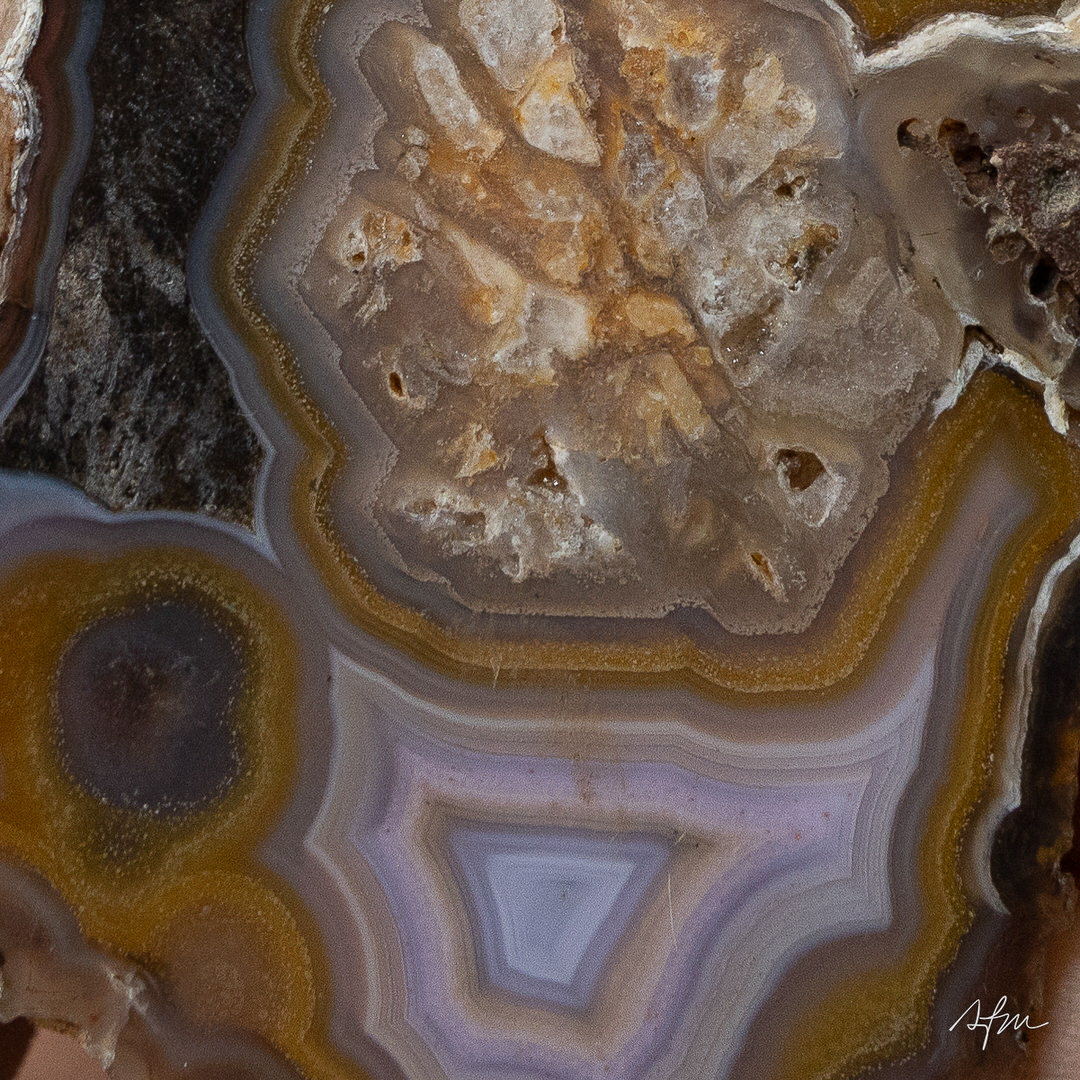 Heart of the Hollow - view 3
