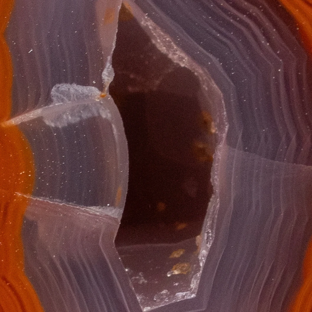 Field Nebula - view 4