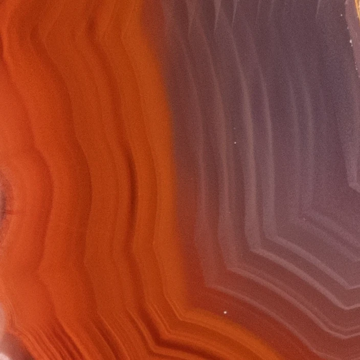 Field Nebula - view 5