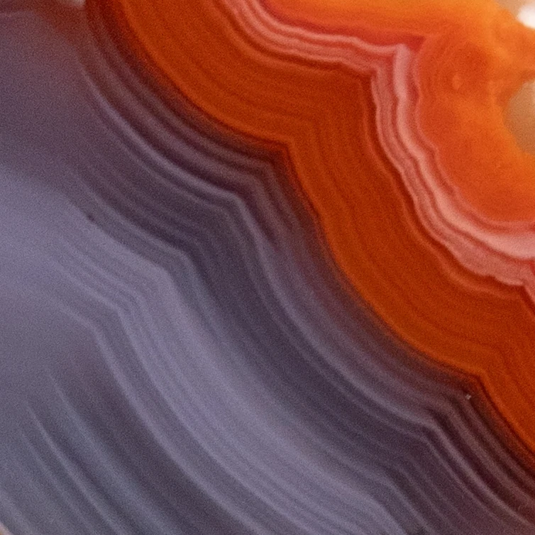 Core Marrow - view 4