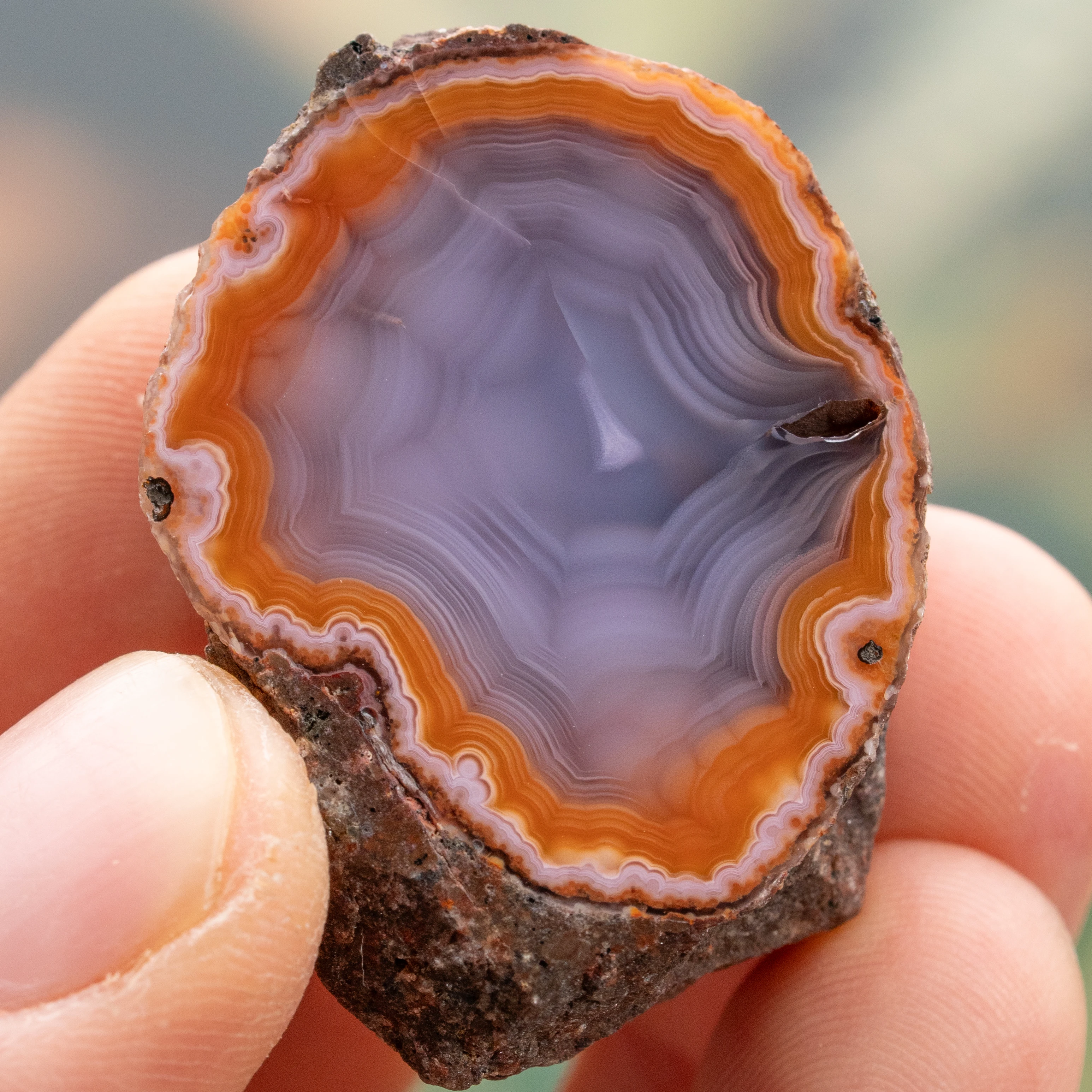 Geo Celestial - view 2