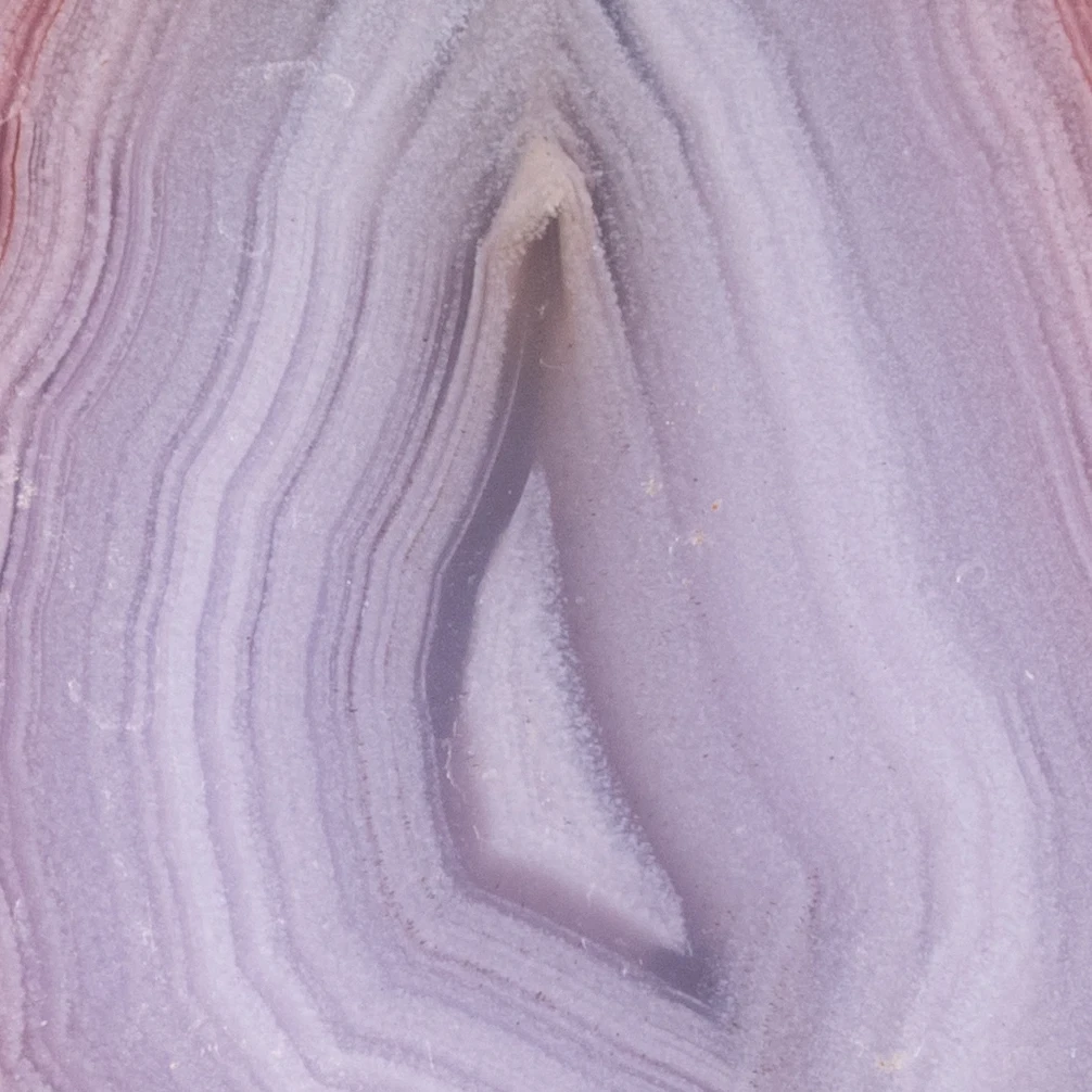 Trace Field - view 3