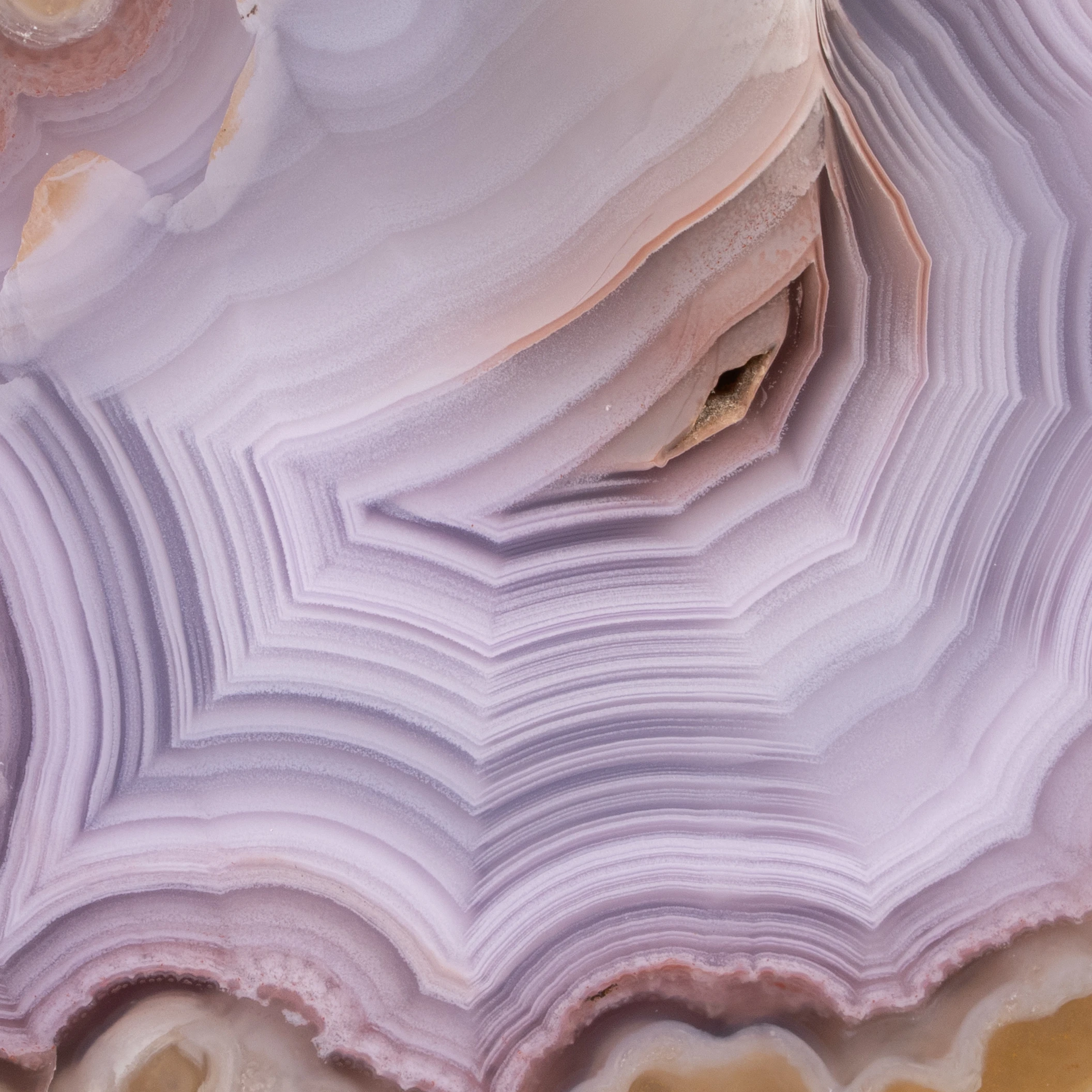 Forge Fold - view 3