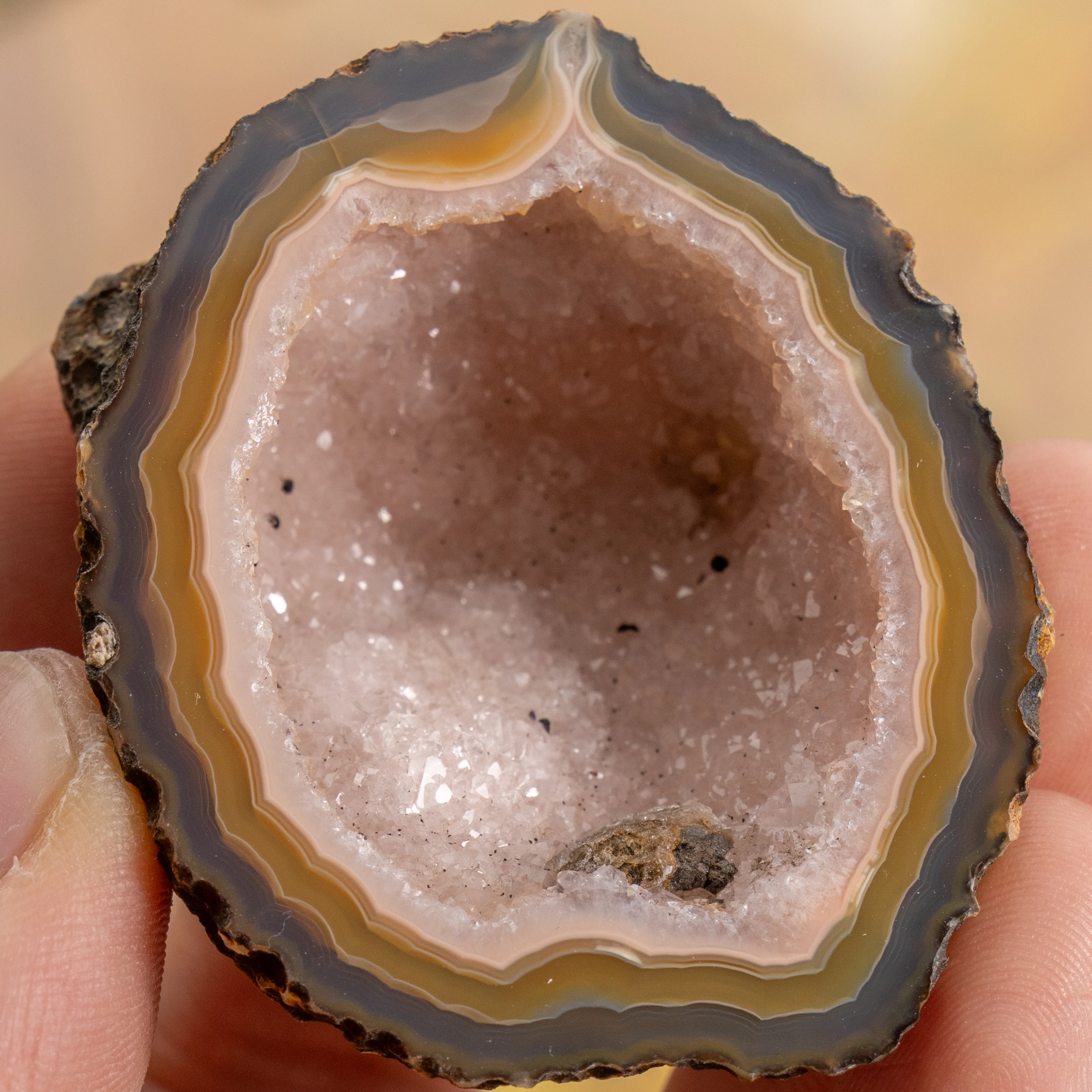 Plasma Field - view 2