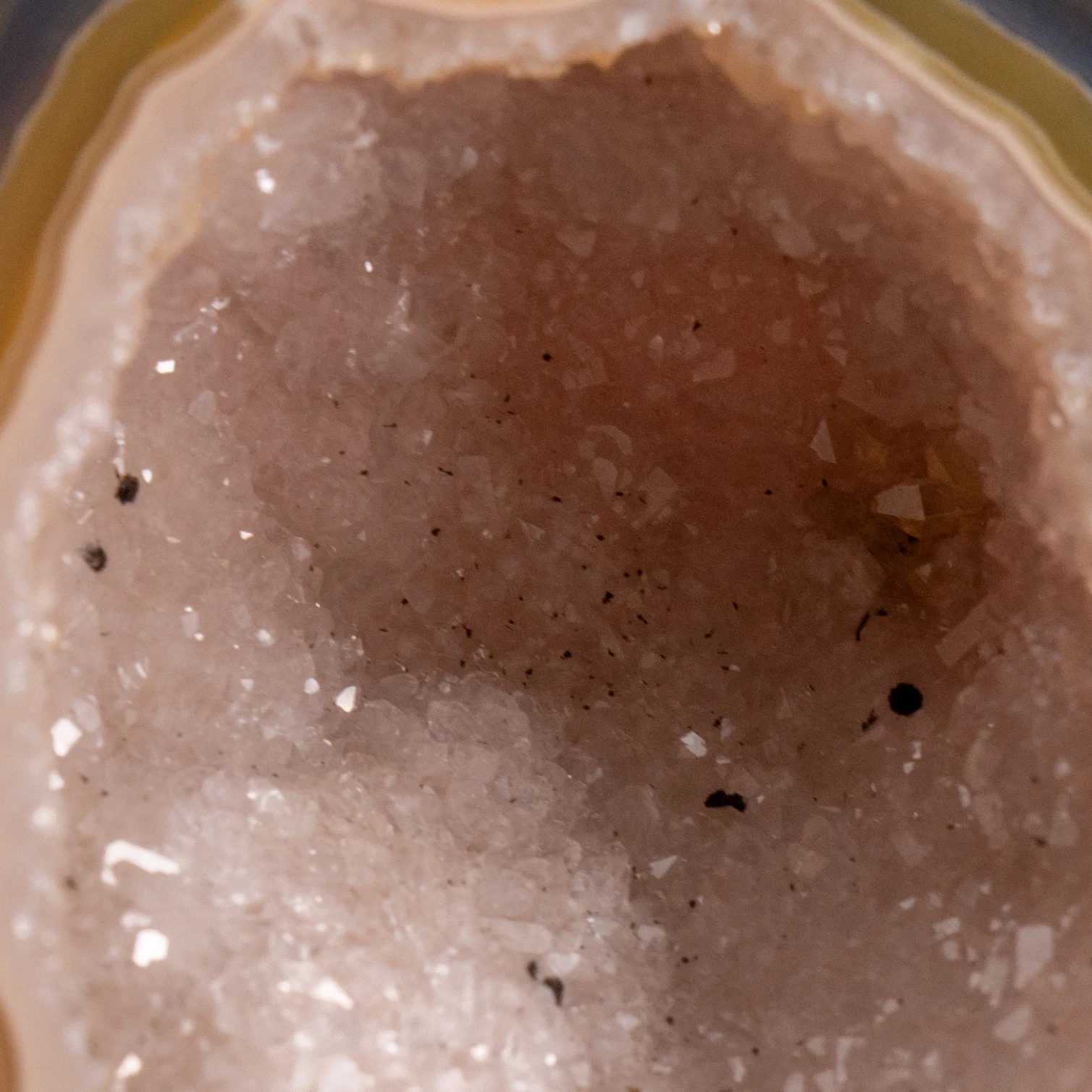 Plasma Field - view 4