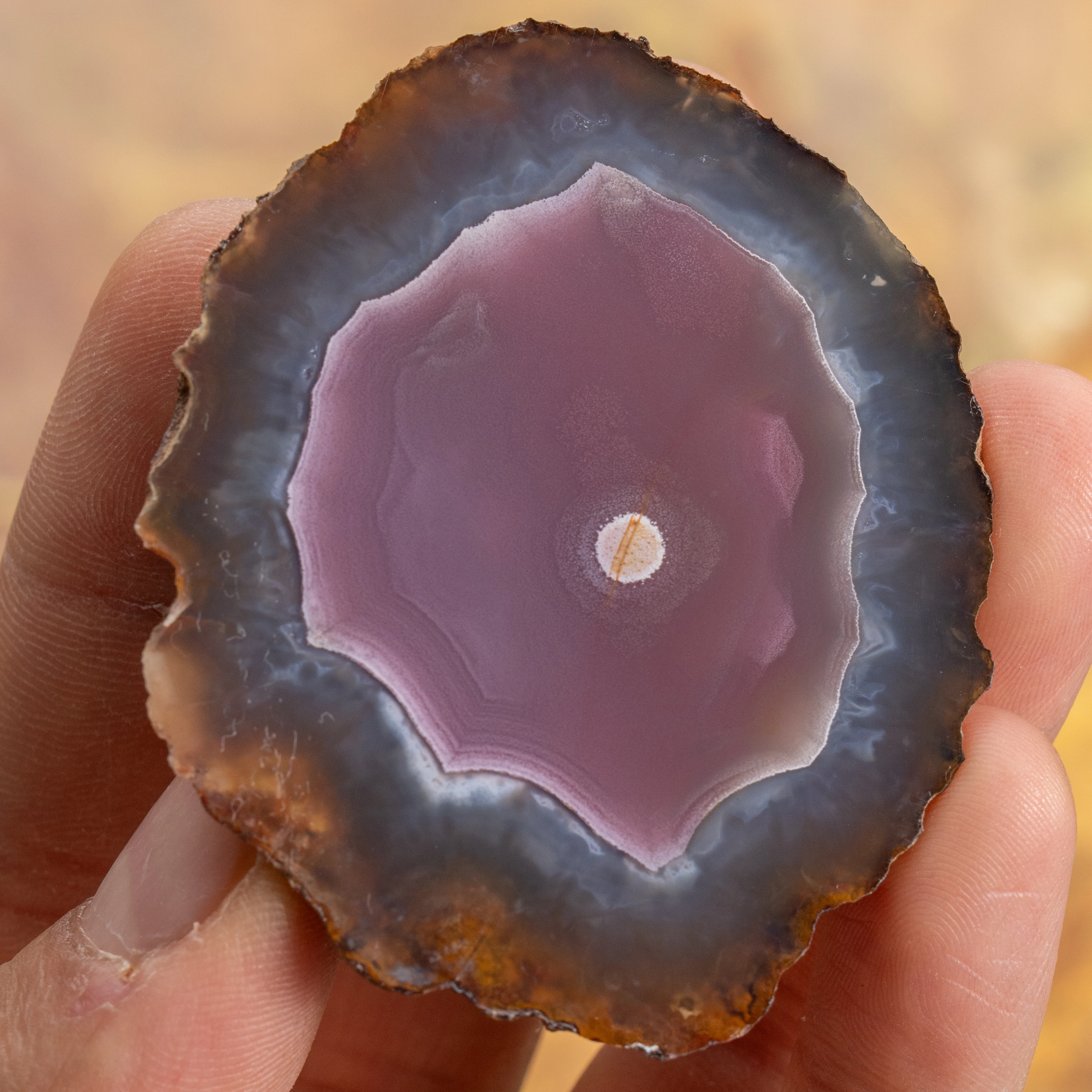 Nebula Feld - view 2