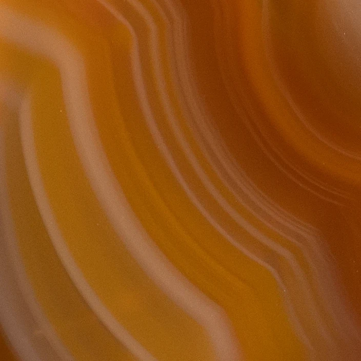 Root Crust - view 4