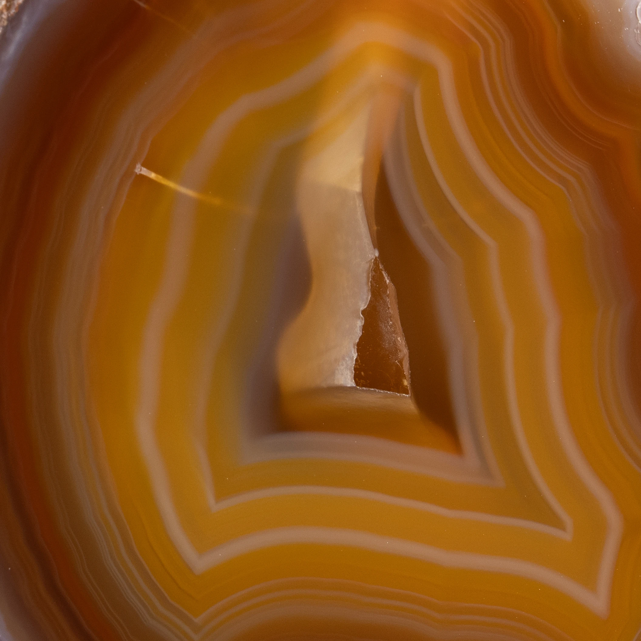Root Crust - view 3