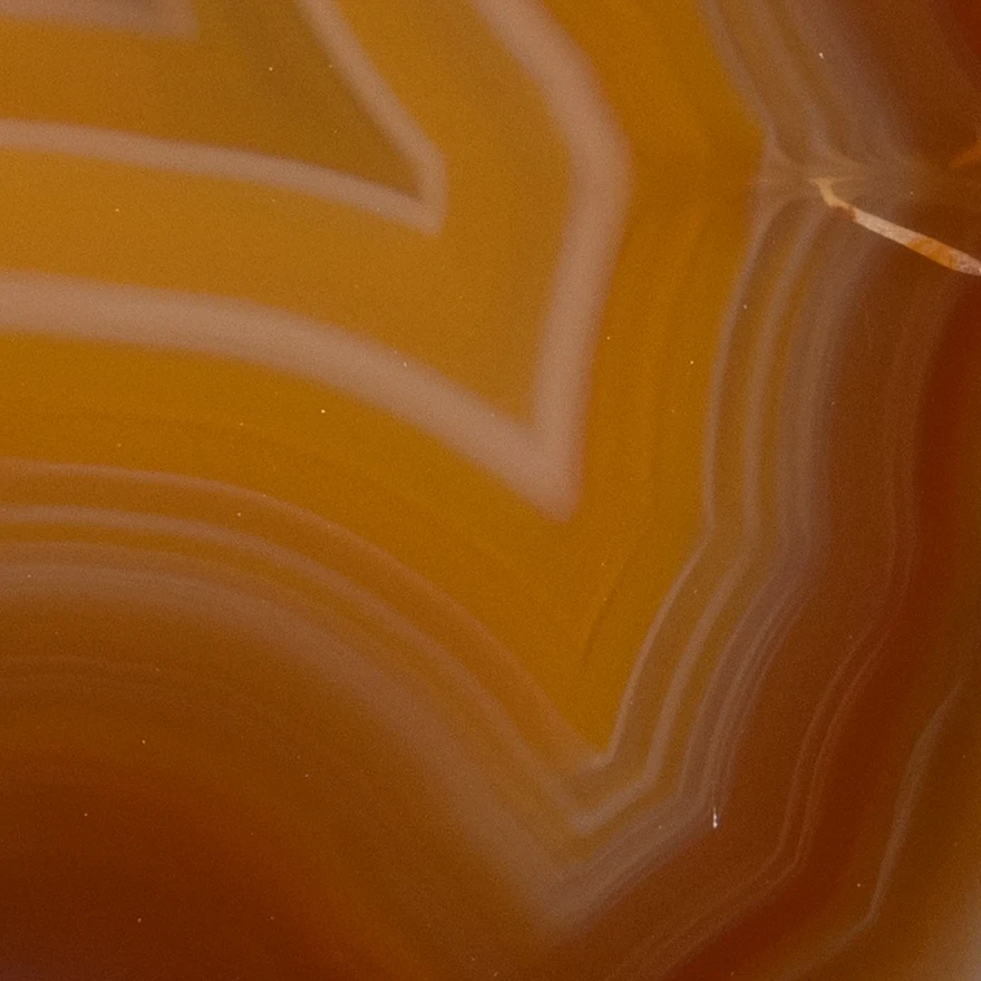 Root Crust - view 5