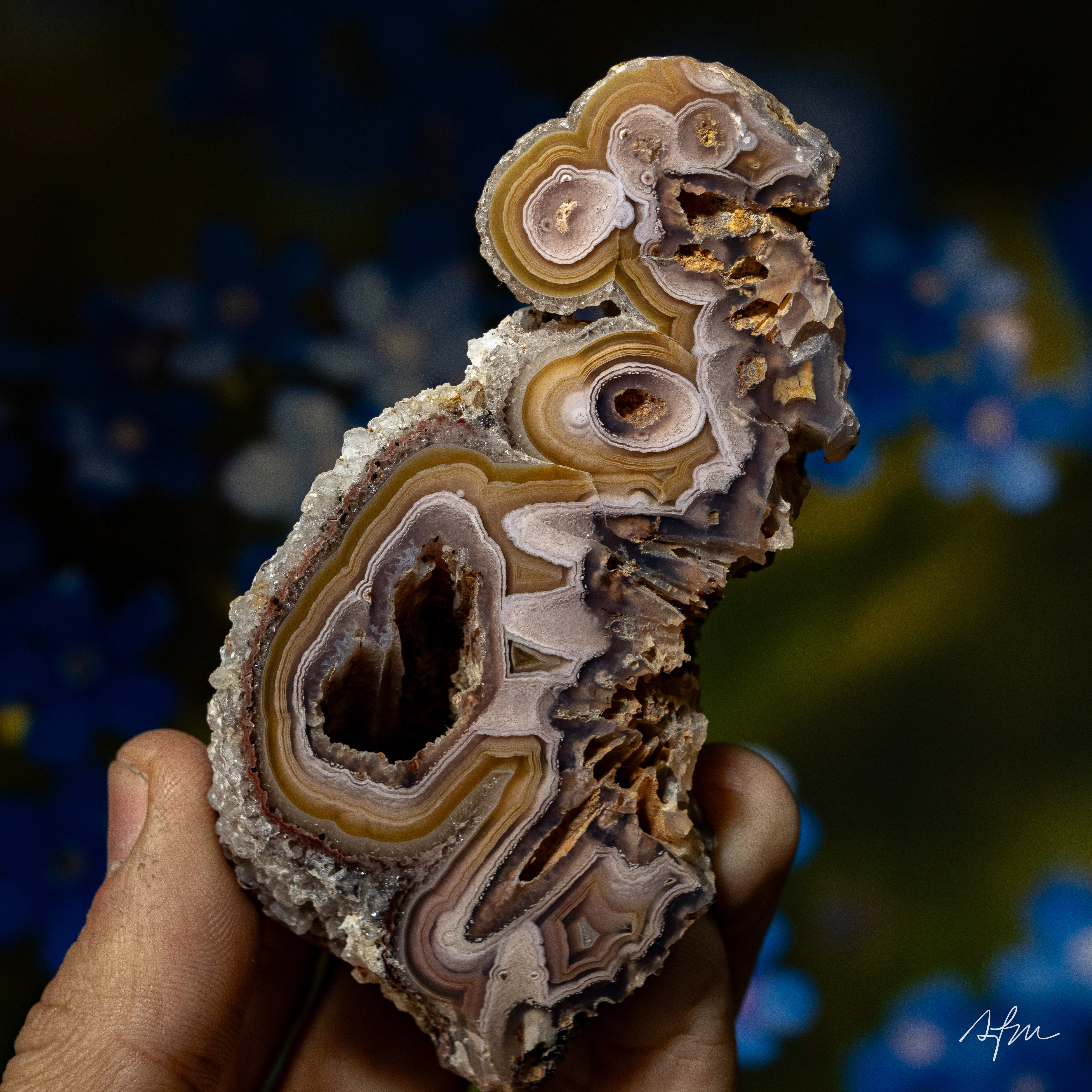 Honeyed Labyrinth - view 2