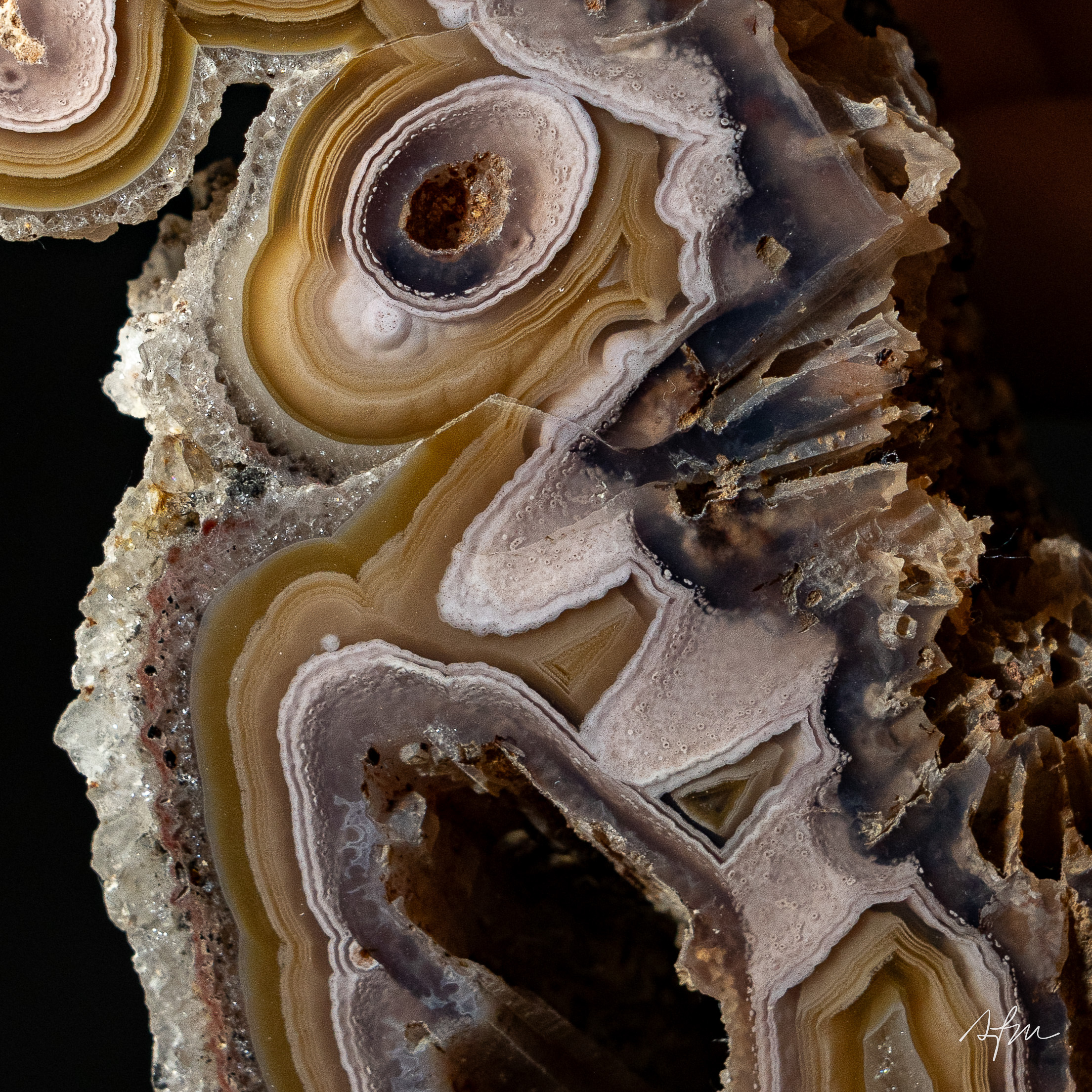 Honeyed Labyrinth - view 3