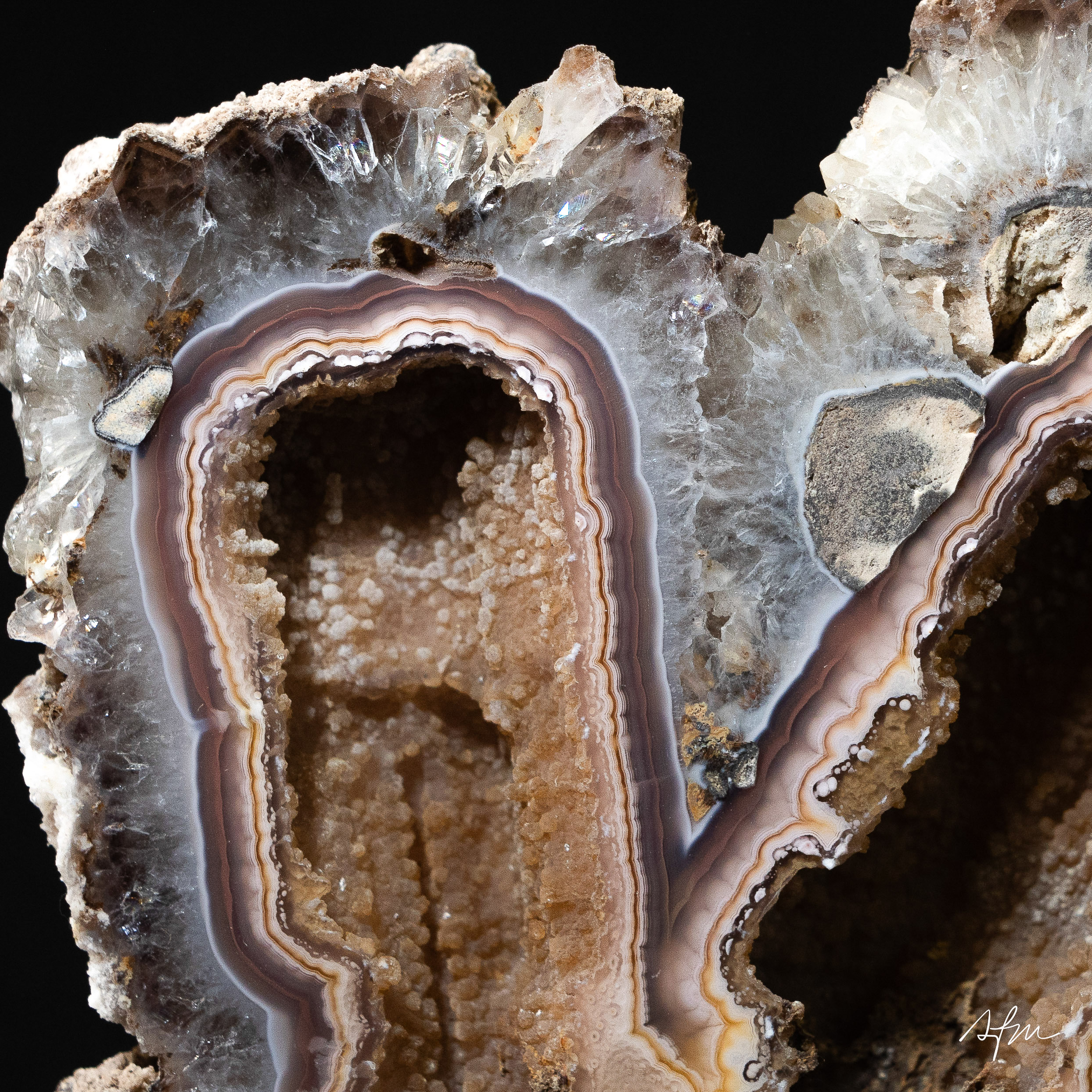 Ancestor Form - view 3