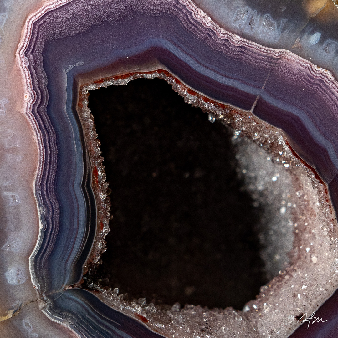 Royal Whisper - view 3