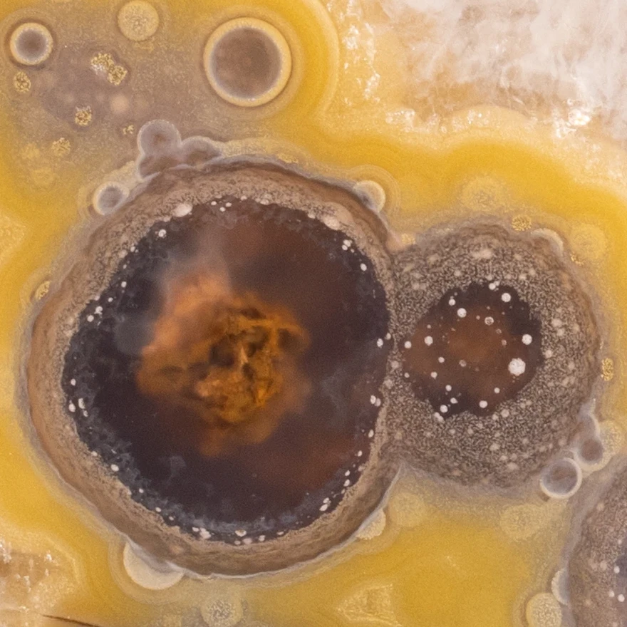 Cosmic Forge - view 5