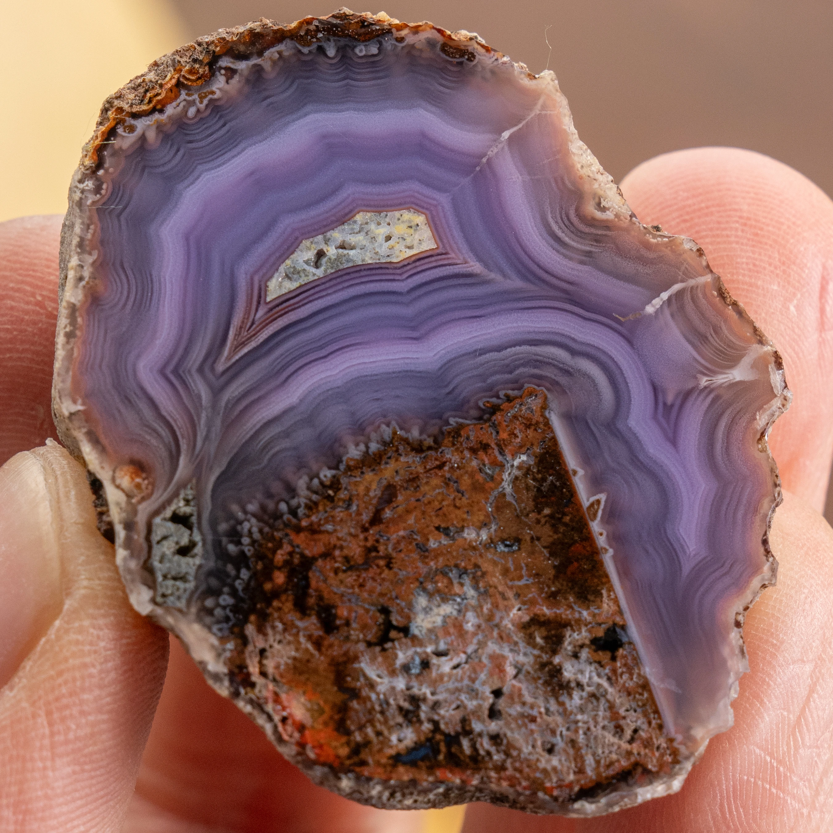 Marrow Layer - view 2