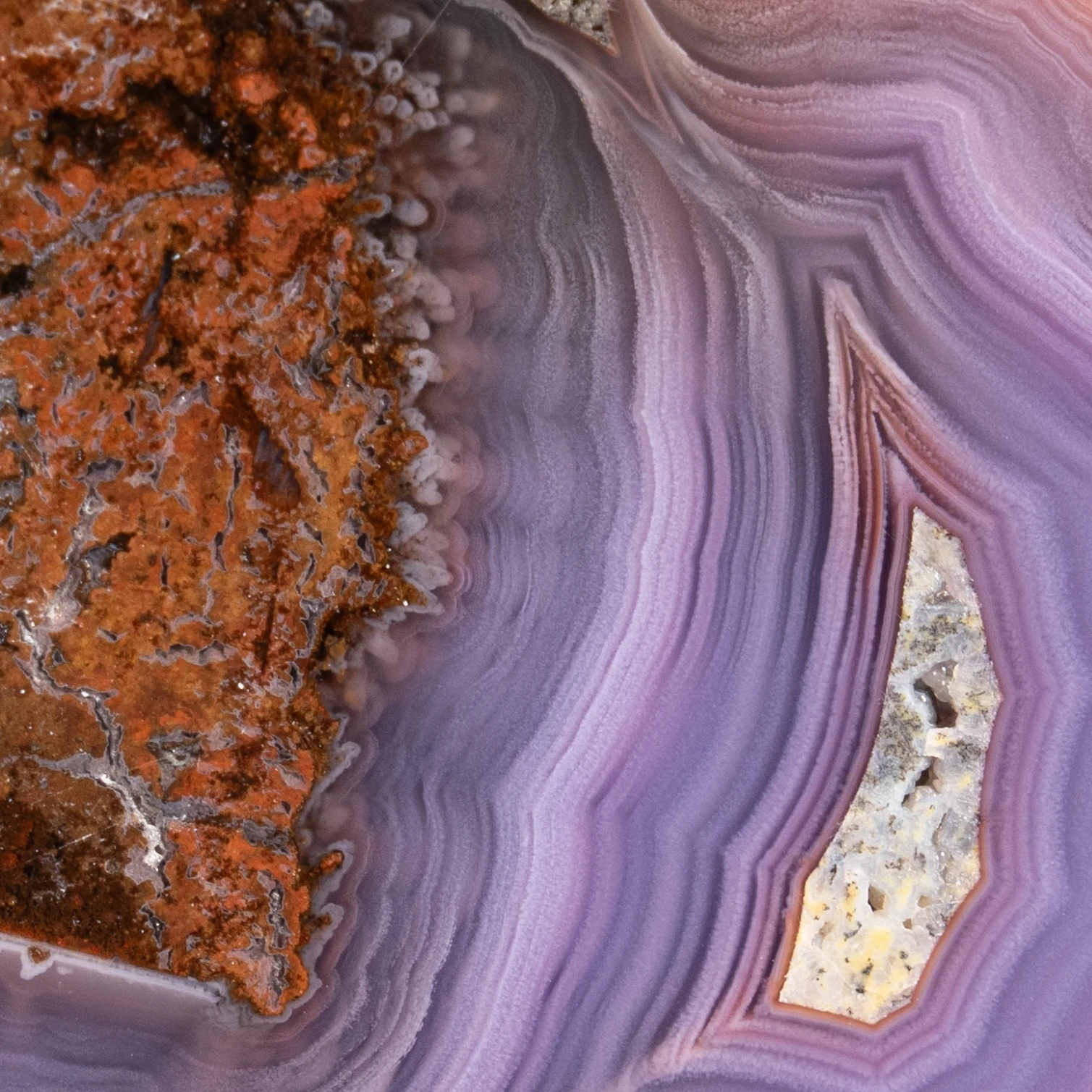 Marrow Layer - view 5